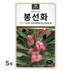 다농 씨앗애 봉선화 씨앗 100p, 5개