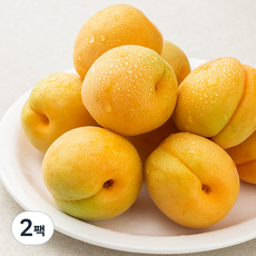 새벽경매 노지 살구, 800g(8~15입), 2팩