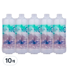 에프엘피 샤워기 필터 고급 대, 10개, 무향