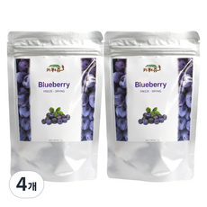 키워쥬 앵무새 동결건조 블루베리 간식, 15g, 4개