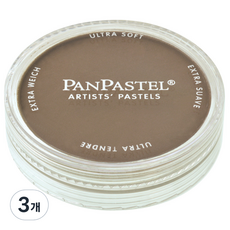 팬파스텔 RAW UMBER 9ml, 1색, 3개