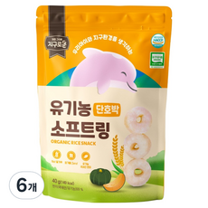 지구로운 유기농 아기 과자 소프트링, 6개, 40g, 단호박