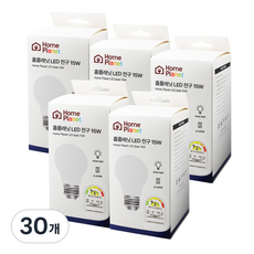 홈플래닛 안정기 내장형 LED 전구 15W, 주광색, 30개