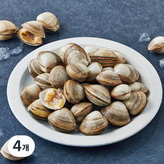 바다림 서해안 산지직송 생물 갯벌 동죽, 4개, 900g