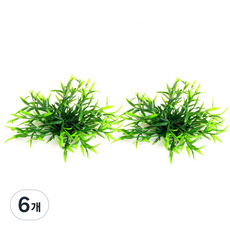 인조수초 290082, 6개
