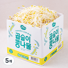 맑은물에 곱슬이 콩나물, 3.5kg, 5개