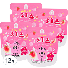 홈앤키즈 사르르쏙 유산균 치즈 딸기, 20g, 12개, 치즈딸기맛
