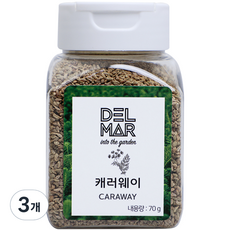 딜리셔스마켓 캐러웨이홀, 70g, 3개