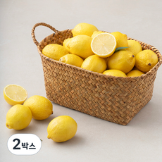 만나다 Sweetugly 호주 레몬, 4kg, 2박스