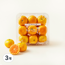 고당도 감귤, 800g, 3개