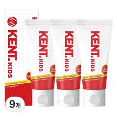 켄트 키즈 고불소, 60g, 9개