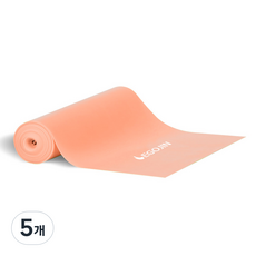 이고진 더쎈 라텍스 밴드, 피치, 5개