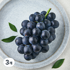 영길팜 당도선별 거봉, 500g, 3개