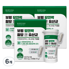 보령 당앤락 혈당 앤 유산균 15g, 30정, 6개