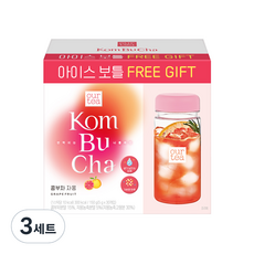 쟈뎅 아워티 콤부차 자몽 + 아이스 전용 보틀, 5g, 30개입, 3세트