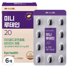 신신제약 미니 루테인 20 9g, 6개, 60정