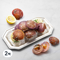 단디프레시 남해안 싱싱한 제철 홍가리비, 700g, 2팩