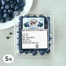 STARTREE 미국산 생블루베리, 5개, 125g
