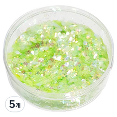 퍼니네일 화려한 샤인 네일 글리터 30g, 라이트그린, 5개