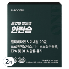 닥터루템 정품 올인원 영양제 한판승, 2개, 30회분