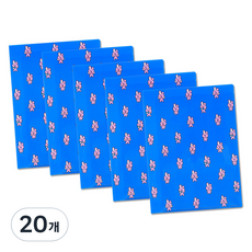 BT21 투포켓 파일, 쿠키, 20개