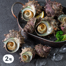 아라보감 국산 뿔소라 생물 7~10미 (냉장), 1kg(7~10미), 2개