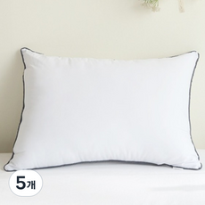 CLEANITY ROOM 可水洗高磅數黑邊超細纖維拉鍊式枕芯, 5個, 混和色