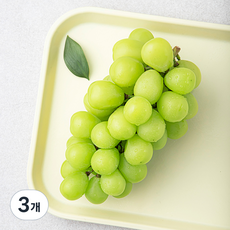 엄마는농부 당도선별 샤인머스캣, 3개, 500g
