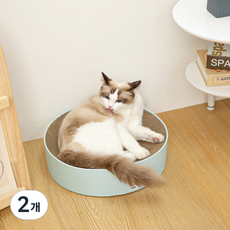 펫톤 고양이 써클 스크래쳐, 2개, 혼합색상