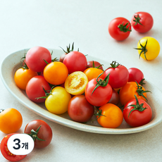 광식이농장 GAP 인증 칵테일 토마토, 1.4kg, 3개