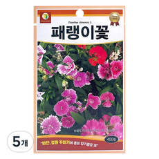 다농 패랭이꽃 씨앗 400p, 5개