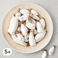 미니 새송이버섯, 300g, 5개
