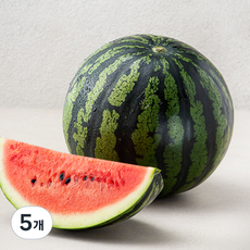 산지직송 당도선별 11brix, 4kg 미만, 5개