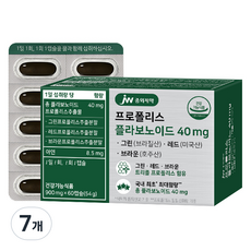 JW중외제약 프로폴리스 플라보노이드 40mg, 60정, 7개