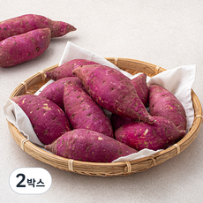 맛있는 밤고구마, 2박스, 1.5kg