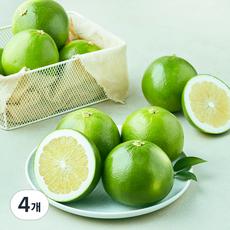 미국산 더네이처 메로골드 자몽, 4개, 3kg