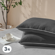 루아베 빨아쓰는 베개 지퍼형, 차콜그레이, 3개