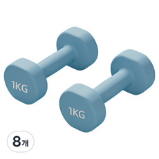 로이윙 PVC 아령 덤벨 양손 세트, 8개, 1kg