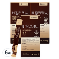 에버비키니 빠질라카노 돌체 라떼맛 가르시니아 다이어트 커피 14p, 6개, 105g