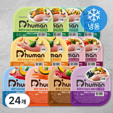 듀먼 강아지 버라이어티 화식 용기형 세트 (냉동), 닭가슴살+초록입홍합, 닭가슴살+토마토, 닭가슴살+채소, 닭가슴살+연어, 오리+채소, 연어+채소, 소고기+채소, 닭가슴살+빌베리, 100g, 24개