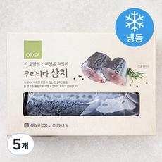 ORGA 한 토막씩 간편하게 손질한 삼치 (냉동), 300g, 5개
