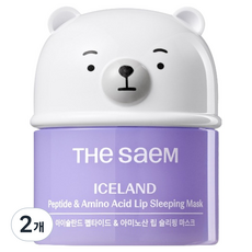 더샘 아이슬란드 펩타이드 앤 아미노산 립 슬리핑 마스크 무색 13g, 2개, 1개입