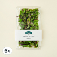 프리미엄 레드쏘렐, 10g, 6개