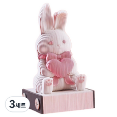 투데이리빙 3d 입체 토끼 캘린더 메모지 + 케이스 세트, 3세트, 핑크