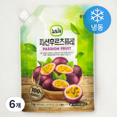 뉴뜨레 패션후루츠퓨레 (냉동), 1kg, 6개