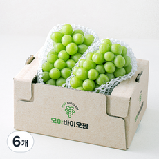 모아바이오팜 당도선별 샤인머스캣, 6개, 1.5kg