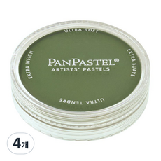 팬파스텔 신한화구 파스텔 CHROM Oxide GREEN SHADE 660.3 9ml, 1색, 4개