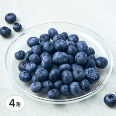 캐나다산 PSK 블루베리, 4개, 125g