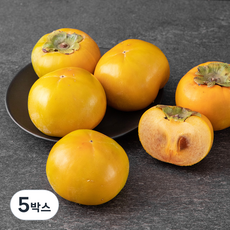 점보 단감, 1.5kg(5~7입), 5박스