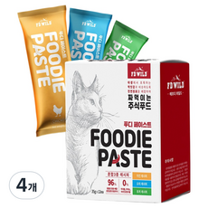 에프디와일드 고양이 푸디페이스트 주식 파우치 12p, 420g, 4개, 혼합맛
